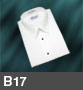 B17 product image